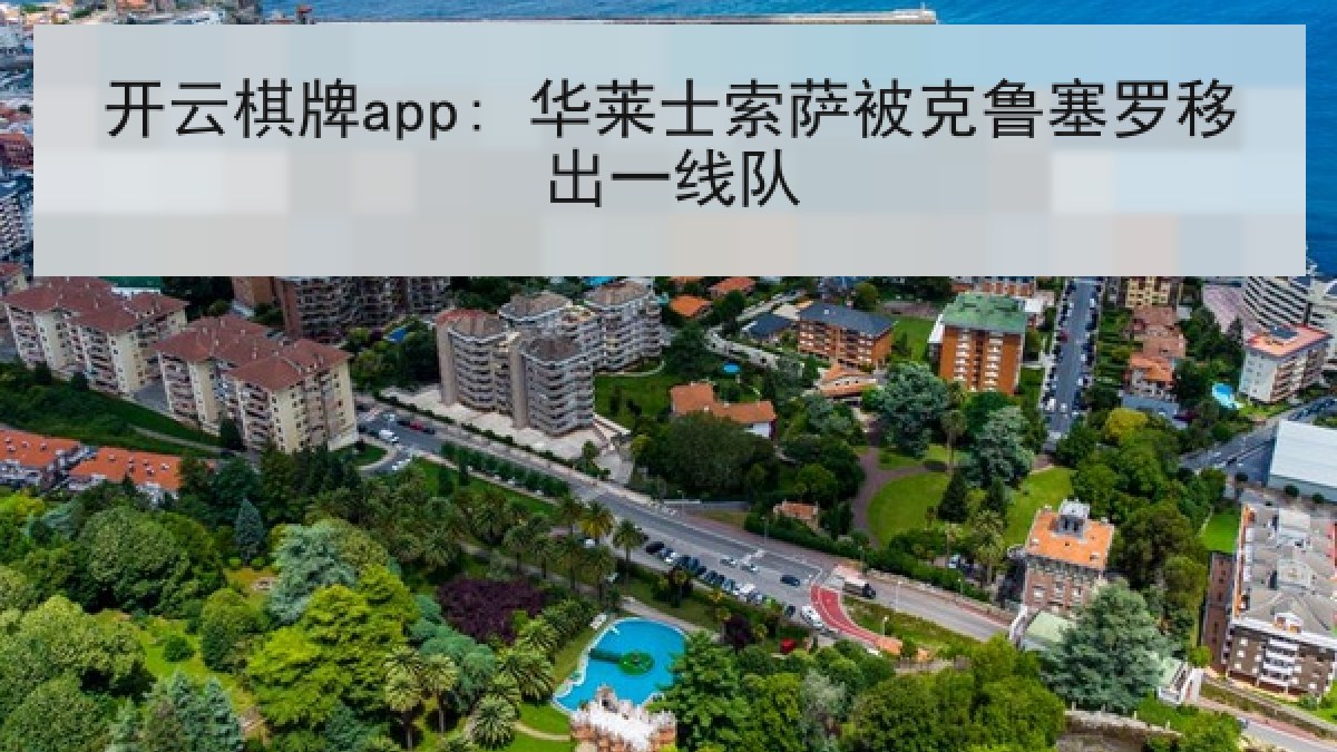 开云棋牌app: 华莱士索萨被克鲁塞罗移出一线队