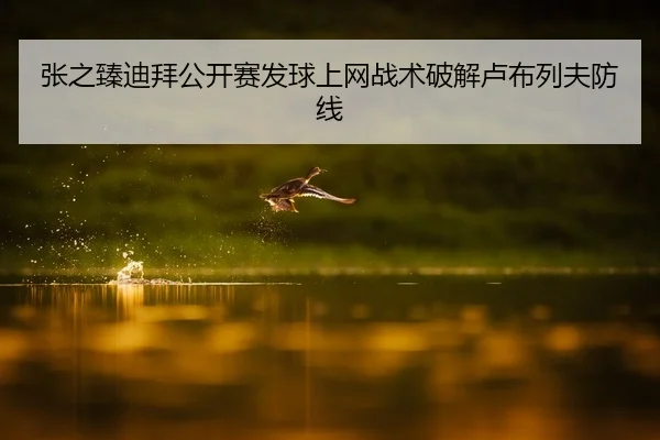 张之臻迪拜公开赛发球上网战术破解卢布列夫防线
