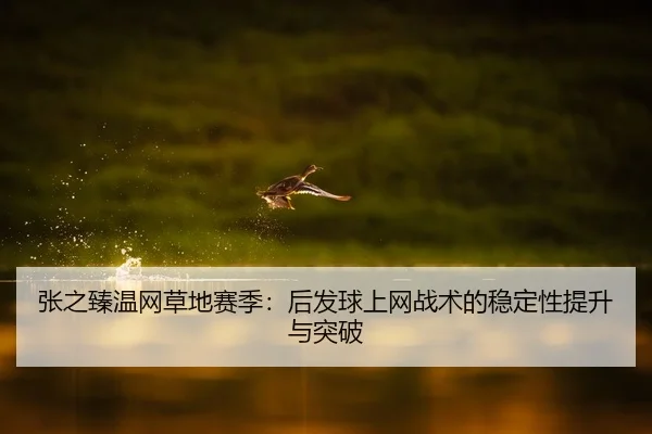 张之臻温网草地赛季：后发球上网战术的稳定性提升与突破