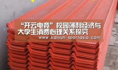 “开云电竞”校园薄利经济与大学生消费心理关系探究