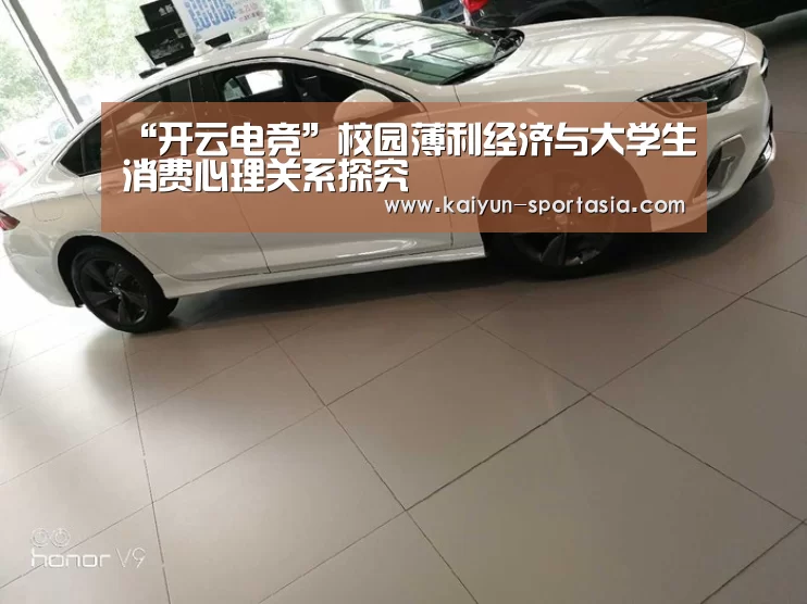 “开云电竞”校园薄利经济与大学生消费心理关系探究(图2) 开云电竞