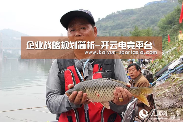 企业战略规划简析-开云电竞平台